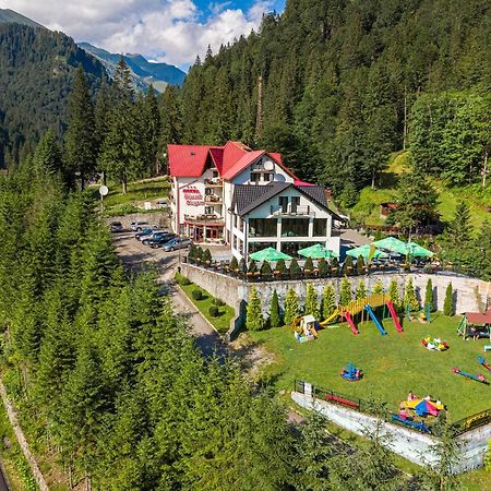 Piscul Negru Hotel - Transfagarasan Cumpăna المظهر الخارجي الصورة