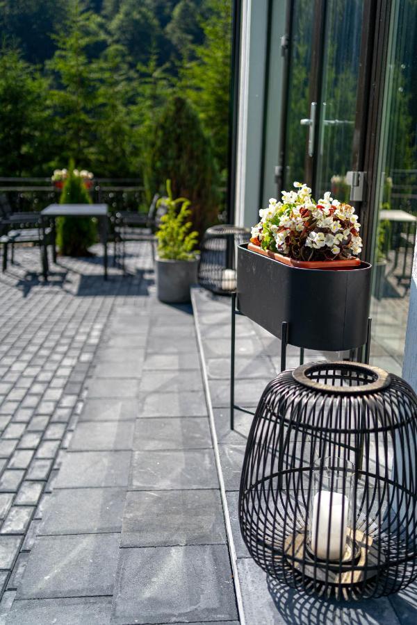 Piscul Negru Hotel - Transfagarasan Cumpăna المظهر الخارجي الصورة