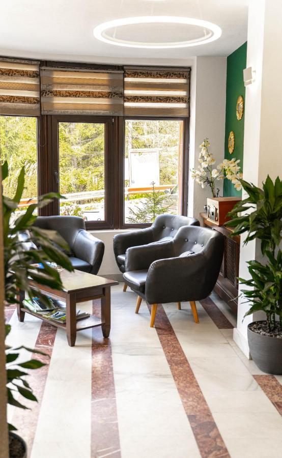 Piscul Negru Hotel - Transfagarasan Cumpăna المظهر الخارجي الصورة