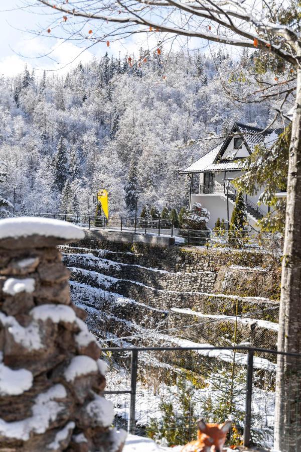 Piscul Negru Hotel - Transfagarasan Cumpăna المظهر الخارجي الصورة