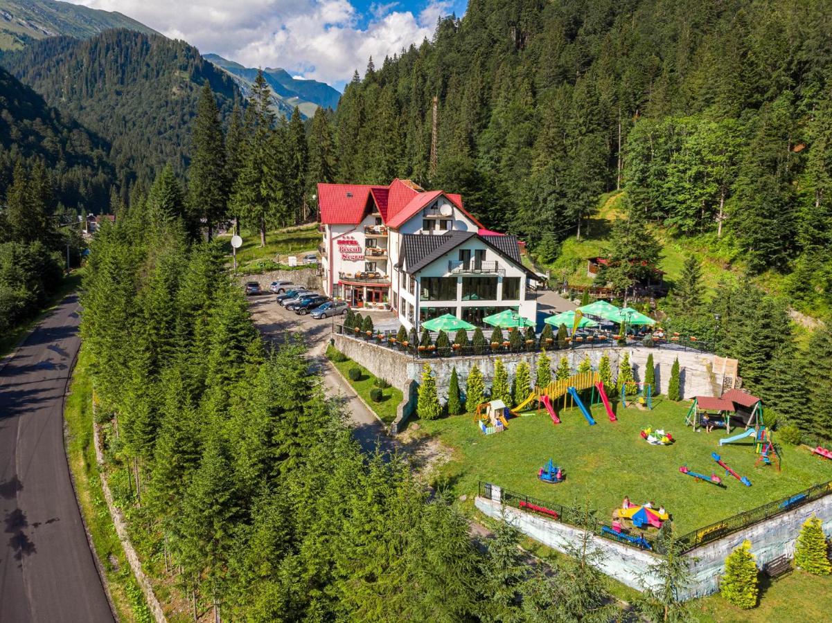 Piscul Negru Hotel - Transfagarasan Cumpăna المظهر الخارجي الصورة