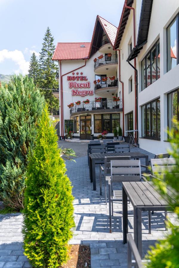 Piscul Negru Hotel - Transfagarasan Cumpăna المظهر الخارجي الصورة