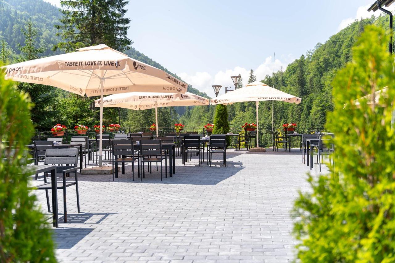 Piscul Negru Hotel - Transfagarasan Cumpăna المظهر الخارجي الصورة